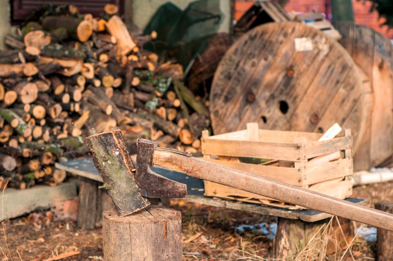 Choosing the Right Firewood for Your Campfire